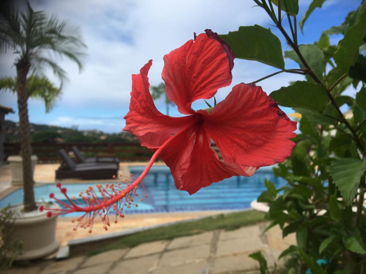 Chez Monsieur Bed & Breakfast Armacao dos Buzios ภายนอก รูปภาพ